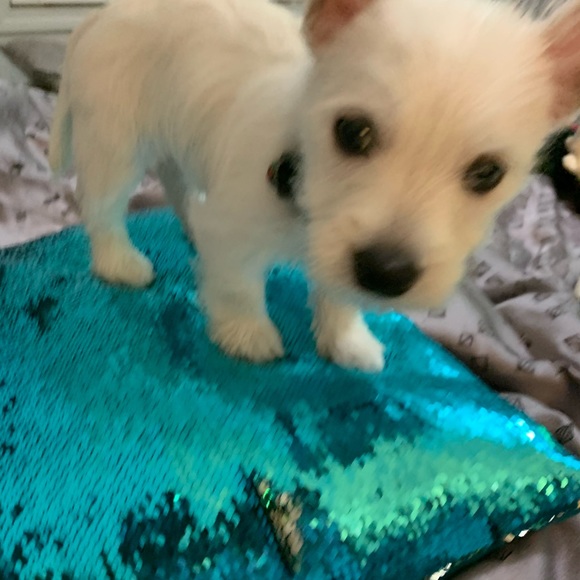 Meet your Posher, Beth - Picture 10 of 13